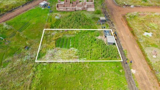 Stand for Sale in Haydon Park