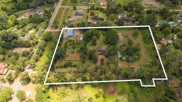 Commercial Stand for Sale