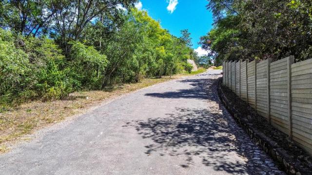 Stand for Sale in Glen Lorne