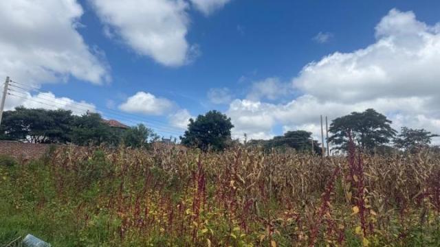 Stand for Sale in Gletwin Park