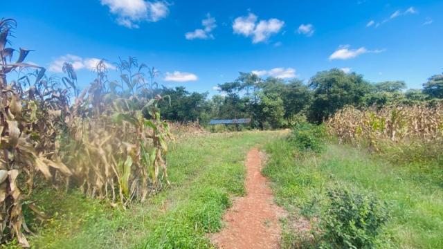 Stand for Sale in Glen Forest