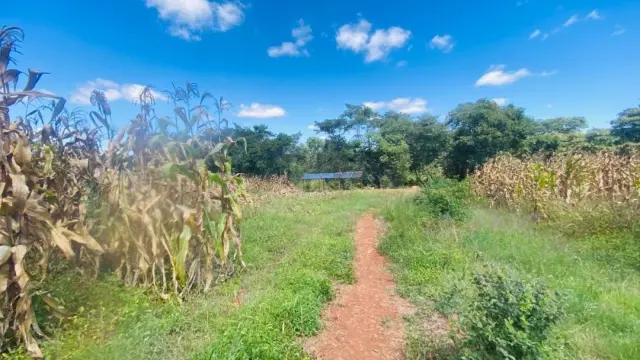 Farm/Plot for Sale inGlen Forest