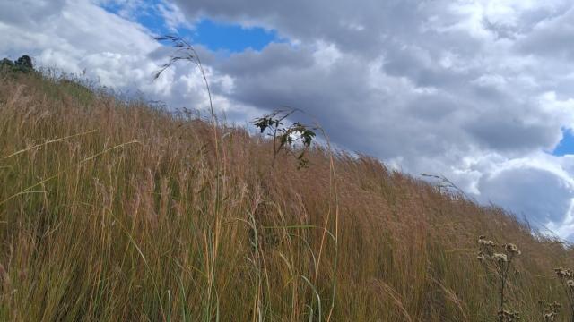 Stand for Sale in Crowhill Views