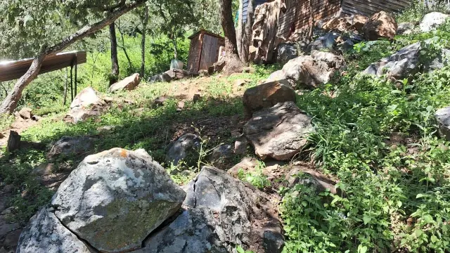 Residential Stand for Sale