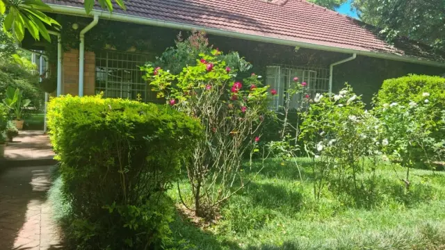 6 Bedroom House to Rent in Avondale West