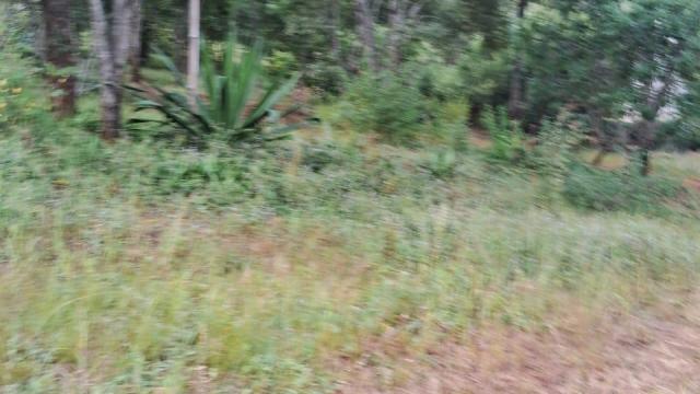 Stand for Sale in Borrowdale