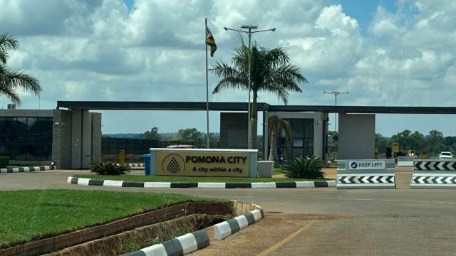 Stand for Sale in Pomona