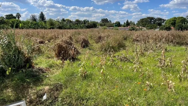 Residential Stand for Sale