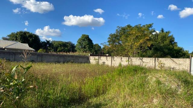 Stand for Sale in Bluff Hill