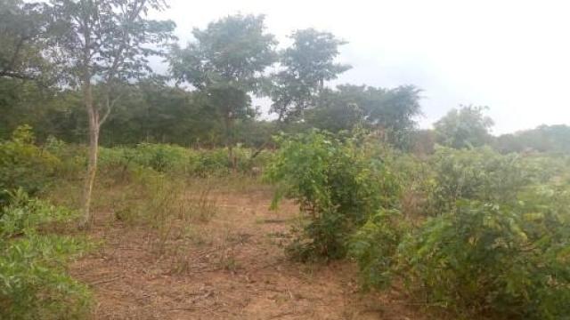 Stand for Sale in Gwanda
