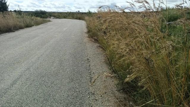 Stand for Sale in Rockview