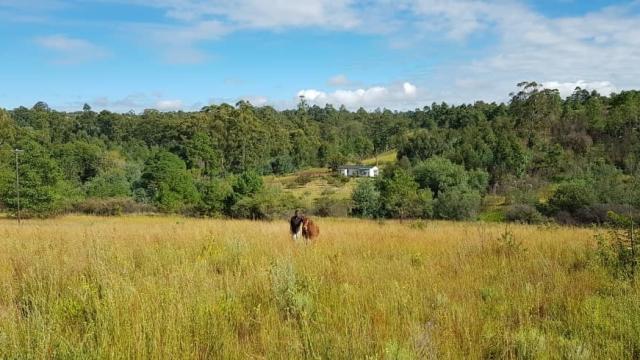 Stand for Sale in Nyanga