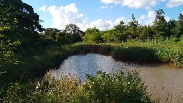 Farm/Plot for Sale in Chipinge