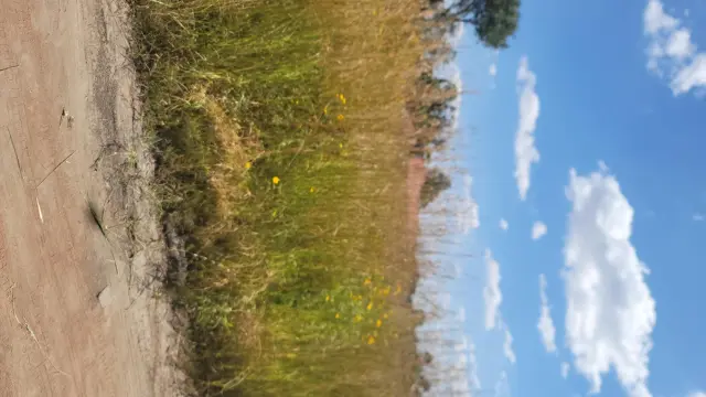 Residential Stand for Sale