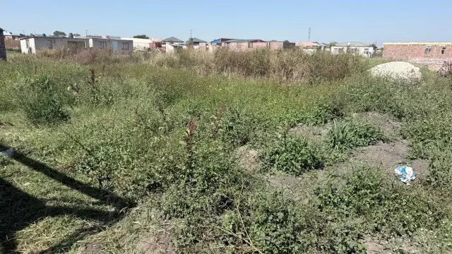 Residential Stand for Sale