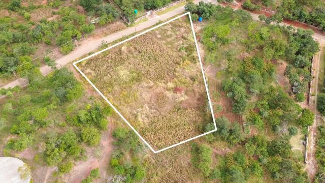 Stand for Sale in Gletwin Park