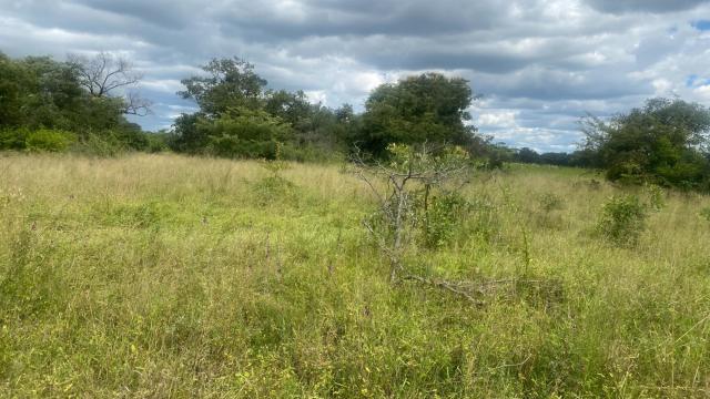 Stand for Sale in Norton