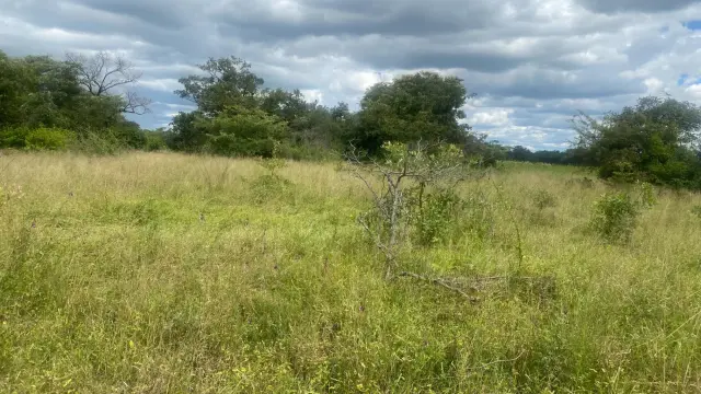 Residential Stand for Sale in Norton