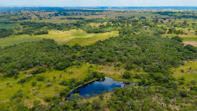 Farm/Plot for Sale