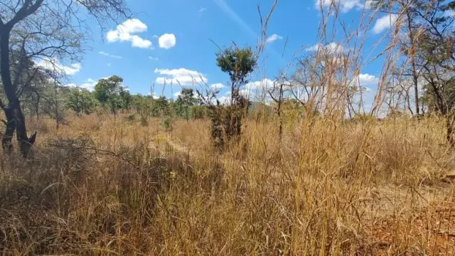 Farm/Plot for Sale in Cromlet