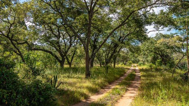 Stand for Sale in Marondera