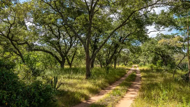 Farm/Plot for Sale