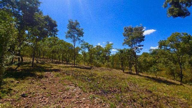 Stand for Sale in Arcturus