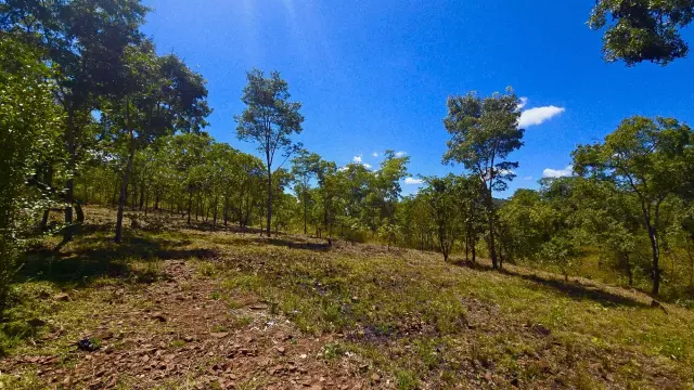Farm/Plot for Sale