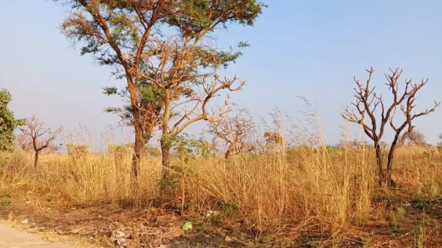 Farm/Plot for Sale in Glen Forest