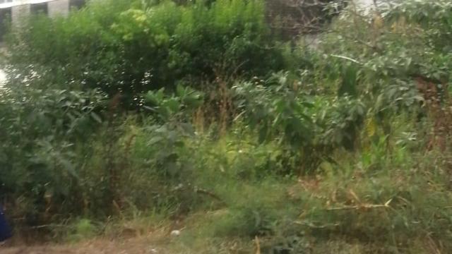 Stand for Sale in Eastlea