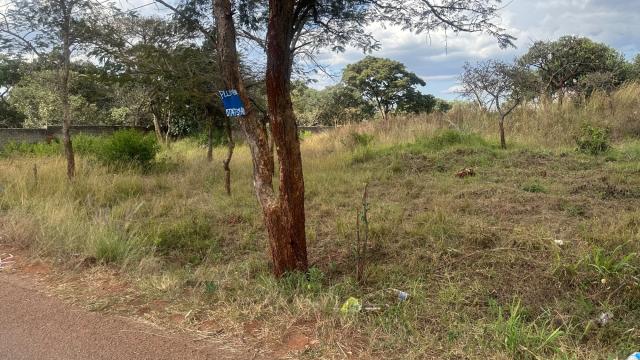 Stand for Sale in Gletwin Park
