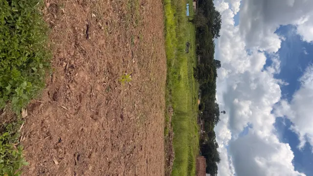 Residential Stand for Sale