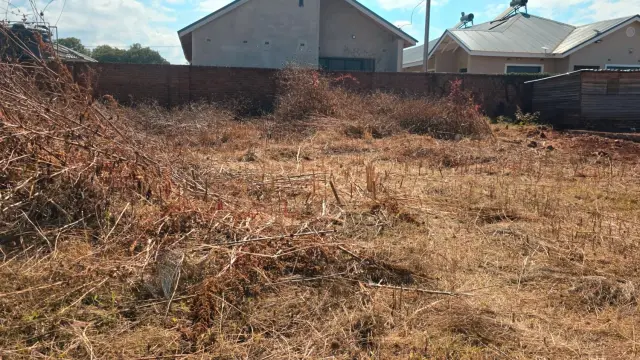 Residential Stand for Sale