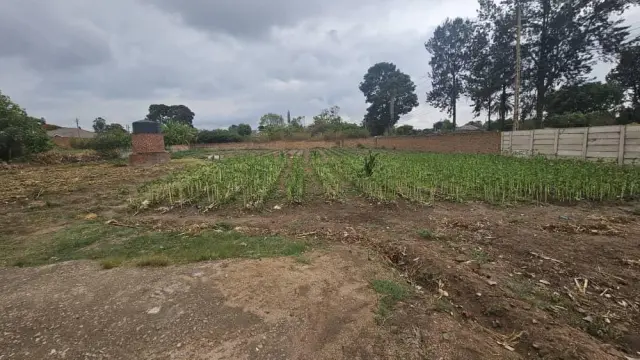 Residential Stand for Sale