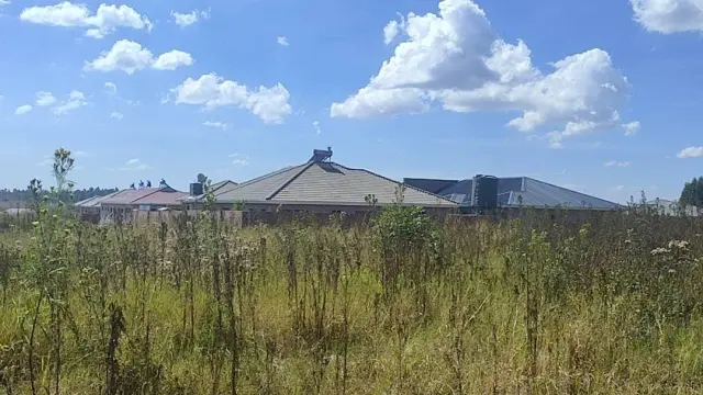 Residential Stand for Sale in Erasmus Park