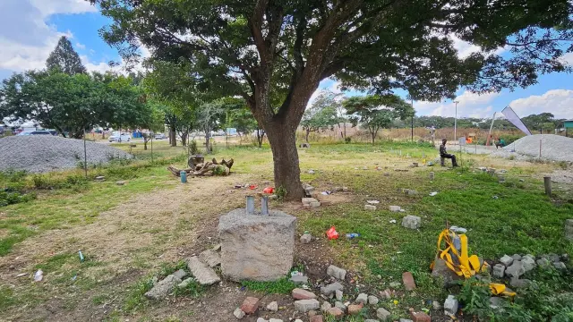 Commercial Stand for Sale