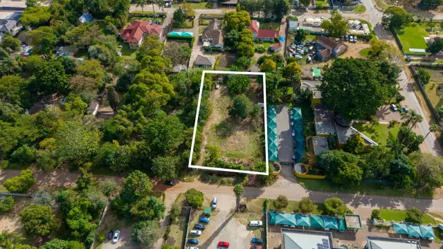 Commercial Stand for Sale