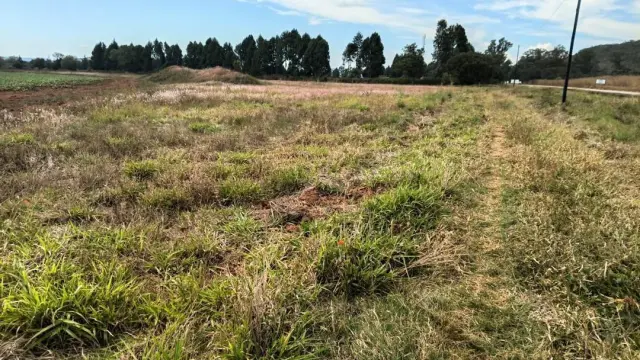 Commercial Stand for Sale in Mutoko