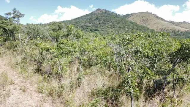 Residential Stand for Sale