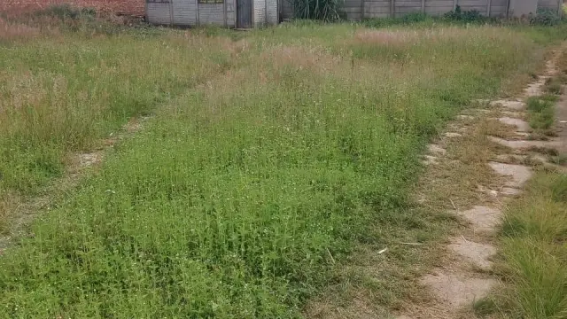 Residential Stand for Sale