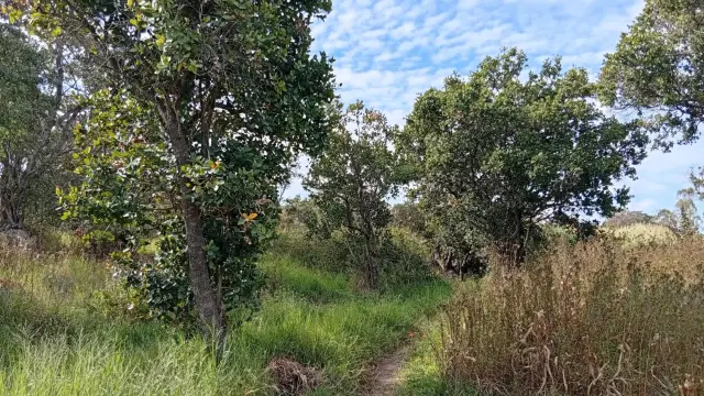 Farm/Plot for Sale