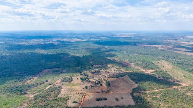 Stand for Sale in Chegutu