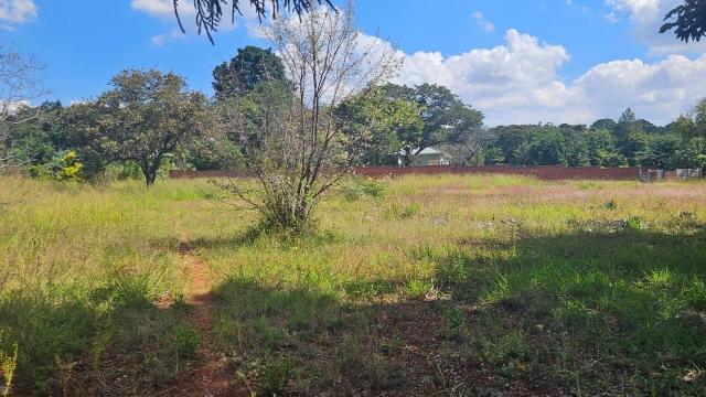 Stand for Sale in Mandara