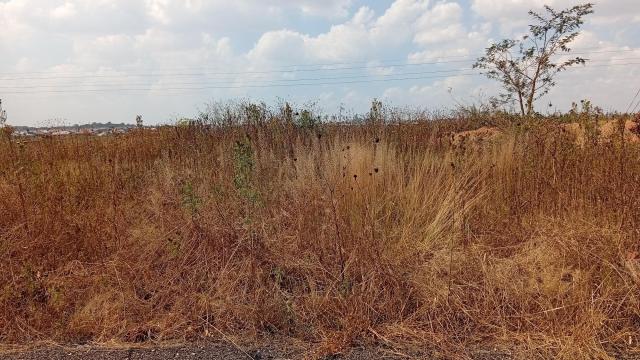 Stand for Sale in Southview Park