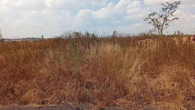 Residential Stand for Sale
