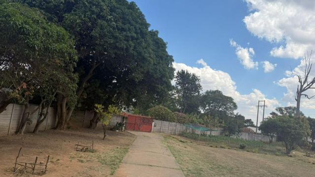 Stand for Sale in Hatfield