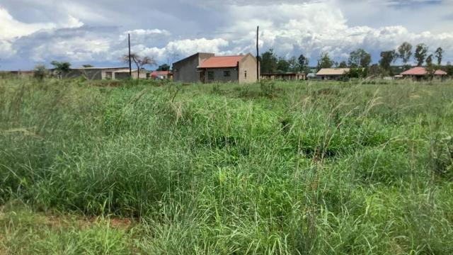 Stand for Sale in Beatrice