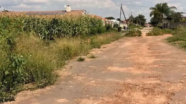 Residential Stand for Sale in Zimre Park