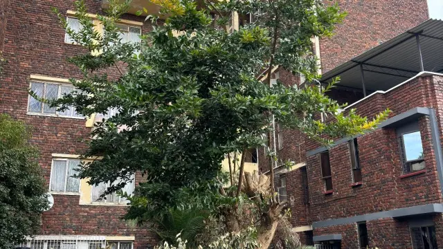 Flat/Apartment for Sale