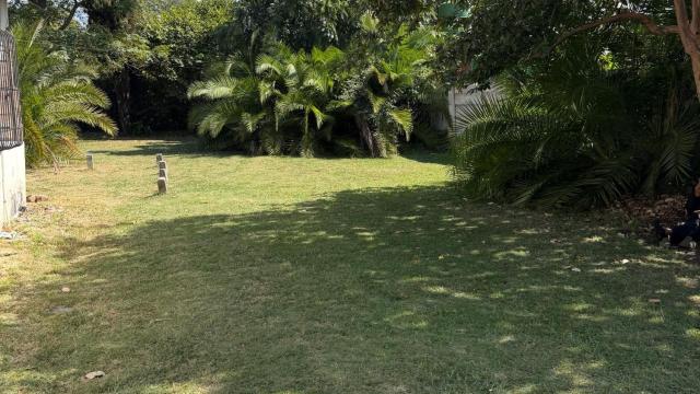 Stand for Sale in Avondale